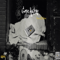 Gone Astray